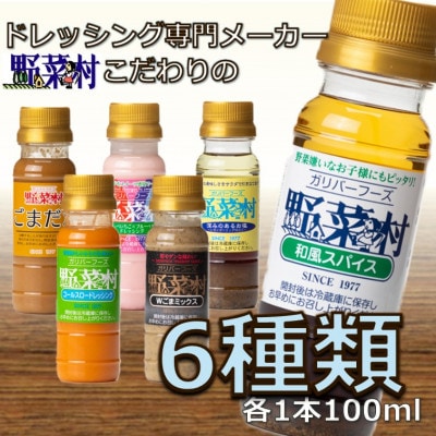 野菜村ドレッシング プチセットB(100ml×6本)