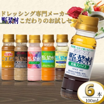 野菜村ドレッシング プチセットB(100ml×6本)