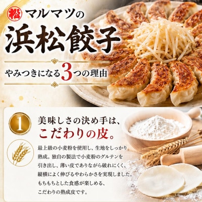 浜松餃子　120粒(定番の味　30粒×4袋)　総重量2.4kg!