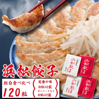 浜松餃子　120粒　2種味くらべ(定番の味60粒、スライスガーリック入り60粒)総重量2.4kg!