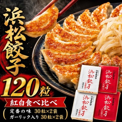 浜松餃子　120粒　2種味くらべ(定番の味60粒、スライスガーリック入り60粒)総重量2.4kg!