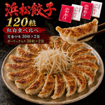 浜松餃子　120粒　2種味くらべ(定番の味60粒、スライスガーリック入り60粒)総重量2.4kg!
