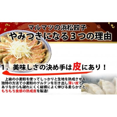 浜松餃子　120粒　2種味くらべ(定番の味60粒、スライスガーリック入り60粒)総重量2.4kg!