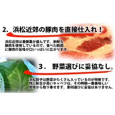 浜松餃子　120粒　2種味くらべ(定番の味60粒、スライスガーリック入り60粒)総重量2.4kg!