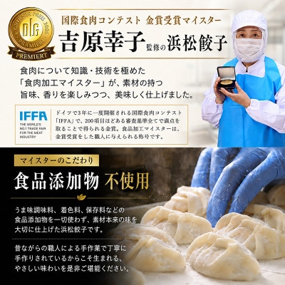 食品添加物不使用　食肉加工マイスターが作った浜松餃子　90粒(18粒×5パック)