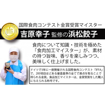 食品添加物不使用　食肉加工マイスターが作った浜松餃子　90粒(18粒×5パック)