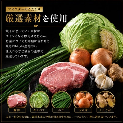食品添加物不使用　食肉加工マイスターが作った浜松餃子　90粒(18粒×5パック)