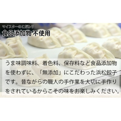食品添加物不使用　食肉加工マイスターが作った浜松餃子　90粒(18粒×5パック)