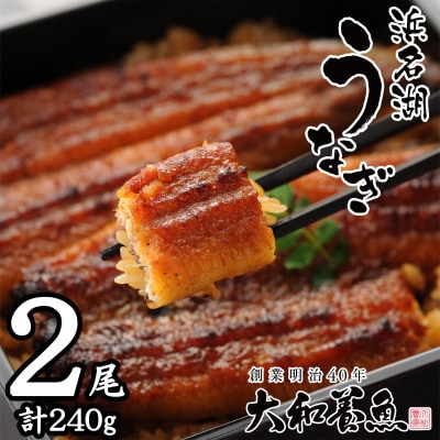 浜名湖うなぎ蒲焼2尾(120g×2尾※計240g)