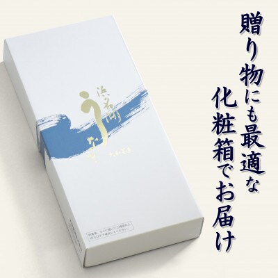 浜名湖うなぎ蒲焼2尾(120g×2尾※計240g)