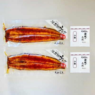浜名湖うなぎ蒲焼2尾(120g×2尾※計240g)