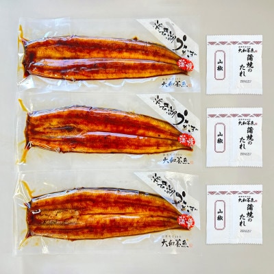 浜名湖うなぎ蒲焼3尾(120g×3尾※計360g)