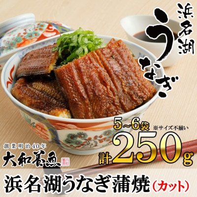 浜名湖うなぎ蒲焼(カット)計250g　【訳あり】サイズ不揃い5～6袋