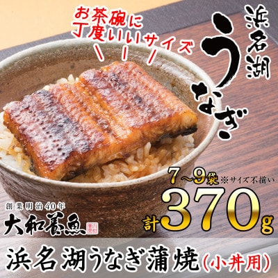 浜名湖うなぎ蒲焼(小丼用)計370g　【訳あり】サイズ不揃い7～9袋
