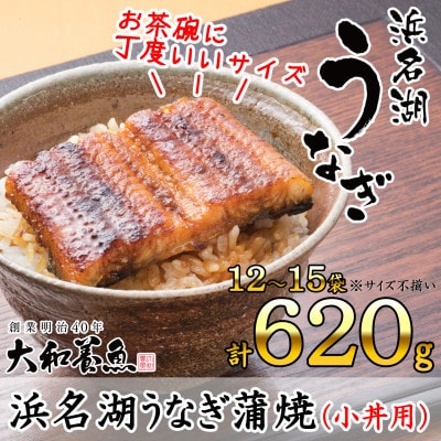 浜名湖うなぎ蒲焼(小丼用)計620g　【訳あり】サイズ不揃い12～15袋