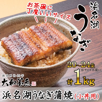 浜名湖うなぎ蒲焼(小丼用)計1kg　【訳あり】サイズ不揃い20～24袋【たれリニューアル】