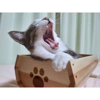 天竜杉のぬくもりを　ネコの寝床