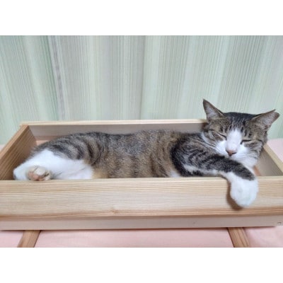 天竜杉のぬくもりを　ネコの寝床