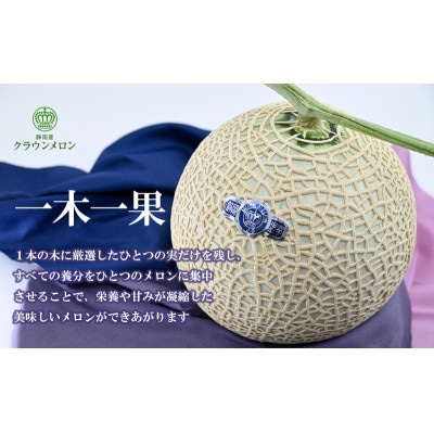 高級クラウンマスクメロン白級　1.3kg以上×1玉入り(化粧箱入り)