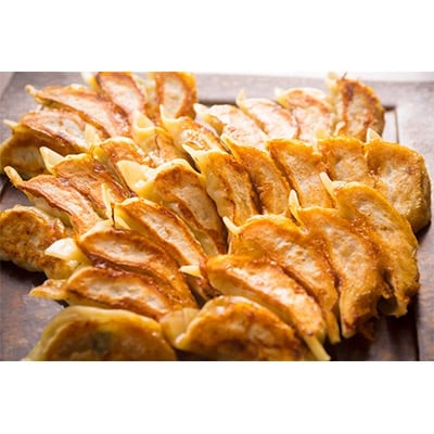 浜名湖産白焼きうなぎ2本　浜松餃子2箱セット(A)