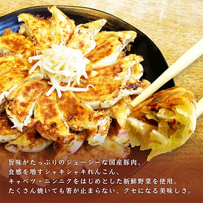浜松餃子!シャキシャキのれんこん入り!具だくさん　むつみ餃子90個入り(1個あたり22g)