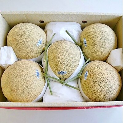 「2021年2月中旬発送」クラウンメロン(白等級)大玉 5玉入り