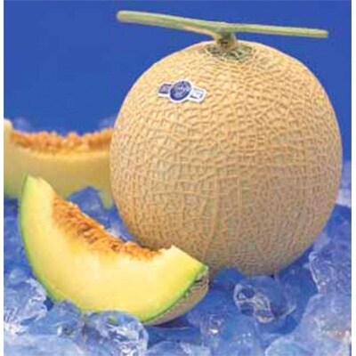 「2021年4月中旬発送」【クラウンメロン】完熟冷凍カットメロン1kg 【冷凍便】