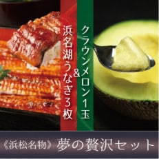 【夢の贅沢セット】浜名湖うなぎ串蒲焼 3枚&クラウンメロン 中玉1玉