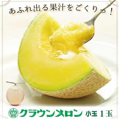 【通年出荷】クラウンメロン(白等級小玉)1玉