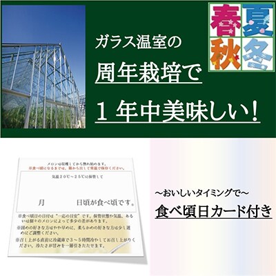 【毎月定期便】クラウンメロン(白等級)3玉・12ヵ月毎月お届け全12回
