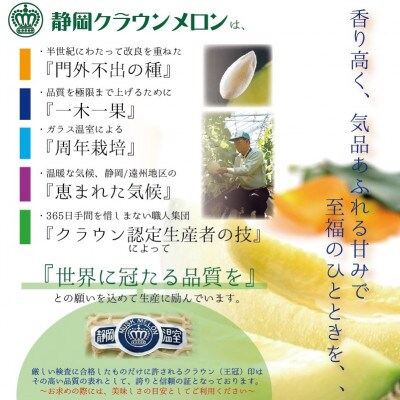 【毎月定期便】【規格外BIGサイズ!】クラウンメロン規格外大玉　1玉全3回