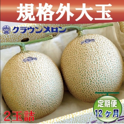 【毎月定期便】【規格外BIGサイズ!】クラウンメロン規格外大玉　2玉詰　全12回