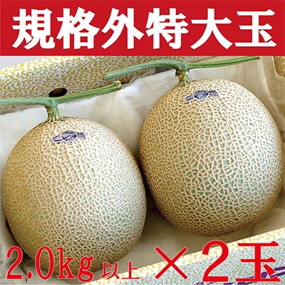 2023年4月発送開始『定期便』【6ヶ月毎月お届け】クラウンメロン 規格外特大玉　2玉　全6回