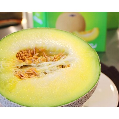静岡産　クラウンメロン 並 (白クラス) 約1.1kg 1玉