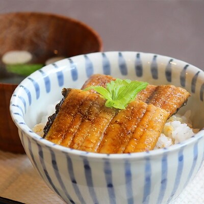 静岡県産　クラウンメロン特上2玉+うなぎ蒲焼5本セット