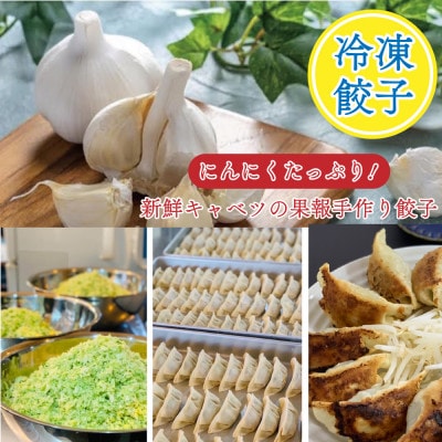 浜松餃子　果報のぎょうざ　6パック