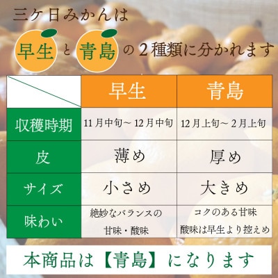 陽だまりファームの三ヶ日　青島　みかん　5kg×1箱