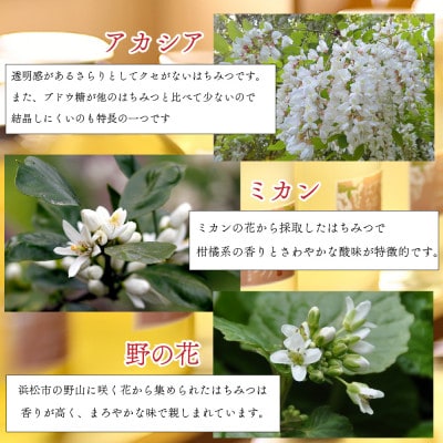 クラウンメロン並【白等級】中玉+アラキ養蜂園の国産はちみつ【アカシア+ミカン+野の花】300g×各1