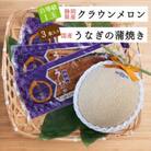クラウンメロン【並(白等級)】1玉+うなぎ蒲焼3本セット