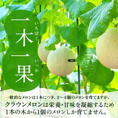 クラウンメロン白等級1.1kg前後 2玉入り