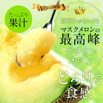 【毎月定期便】クラウンメロン白等級1.1kg前後1玉入り 全3回