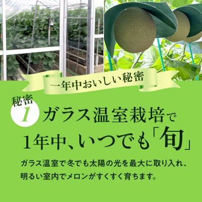 【毎月定期便】クラウンメロン 白等級[1.3kg前後×1玉]全6回