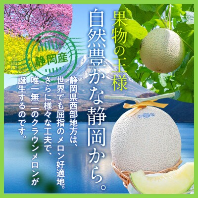 【発送月固定定期便】<偶数月>クラウンメロン 白等級[1.1kg前後×2玉]全6回