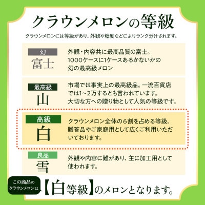 【発送月固定定期便】<奇数月>クラウンメロン 白等級[1.3kg前後×1玉]全6回