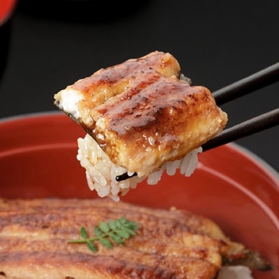 うなぎ 国産 串蒲焼き5串 冷蔵便お届け