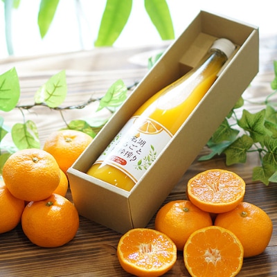 三ケ日みかんジュース720ml　1本