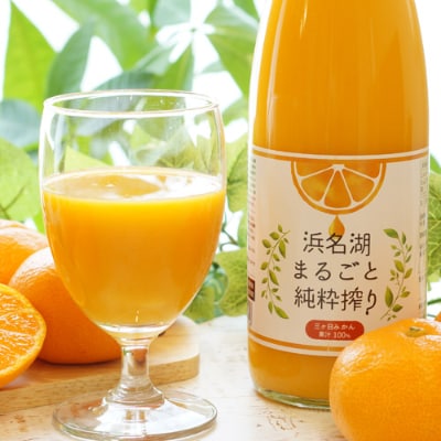 三ケ日みかんジュース720ml　1本