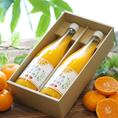 静岡三ケ日みかんジュース ストレート　果汁100% 720ml 2本