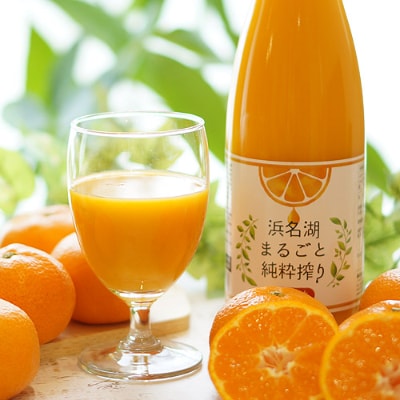 静岡三ケ日みかんジュース ストレート　果汁100% 720ml 2本