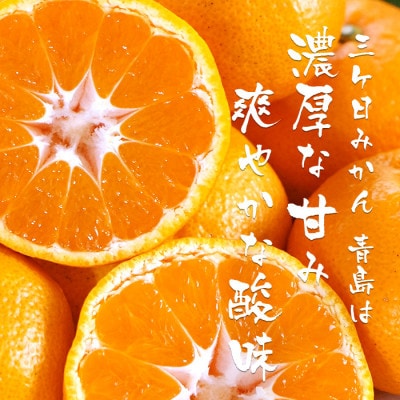 静岡三ケ日みかんジュース ストレート　果汁100% 720ml 6本